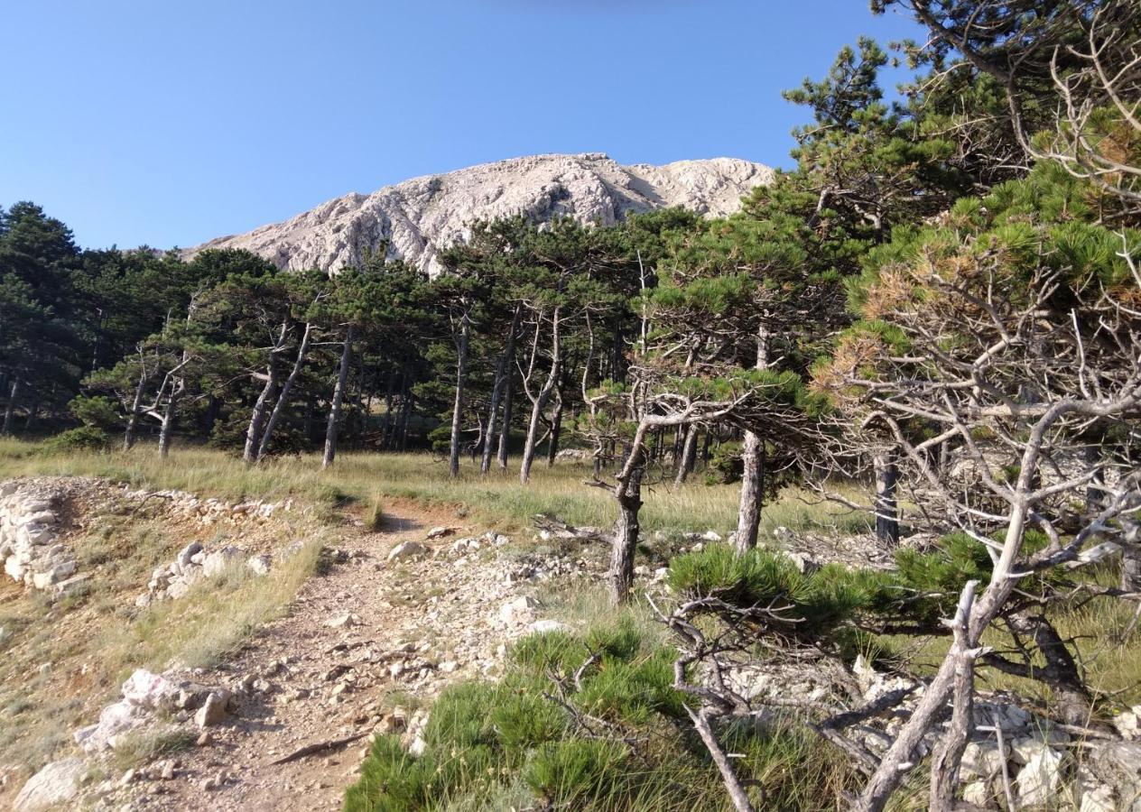 Apartmani Baska S Pogledom Na More Buitenkant foto